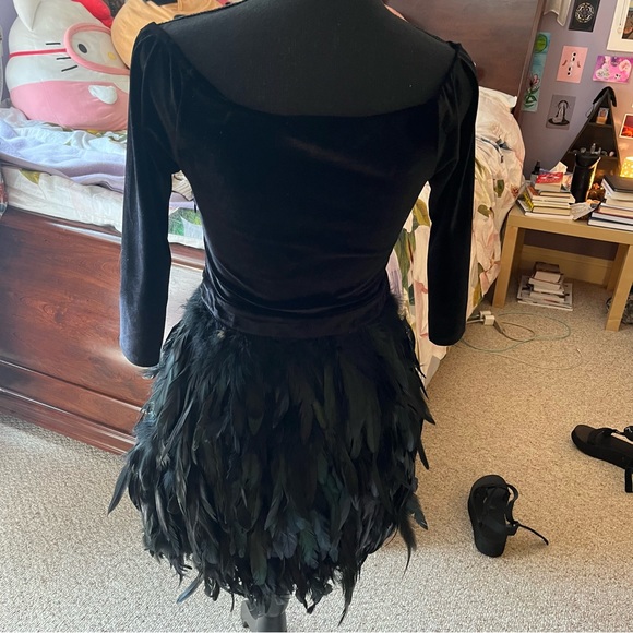 Feather & Velvet Dress - Picture 5 of 8